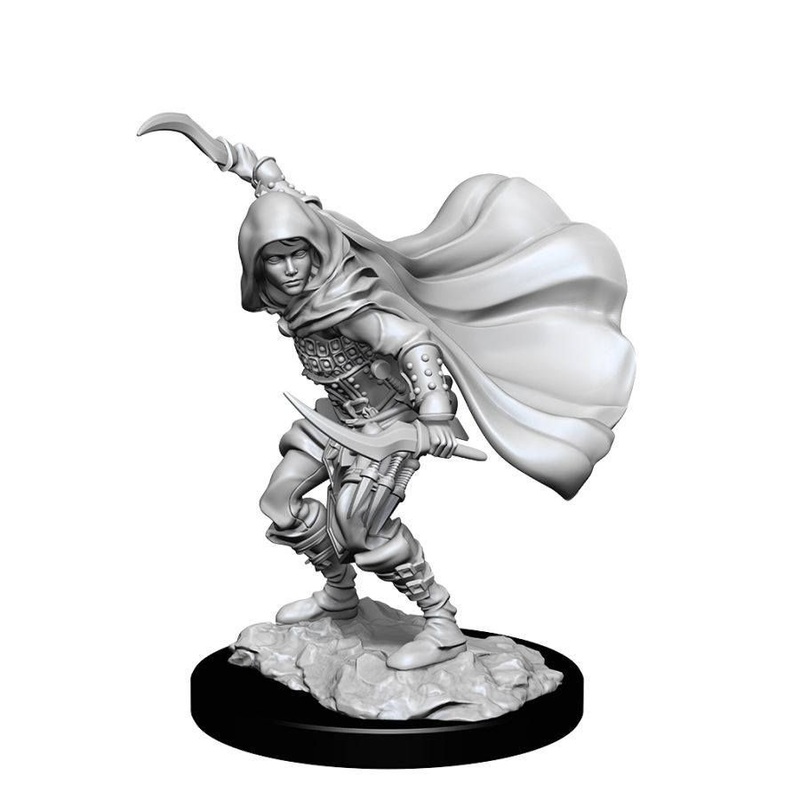 Pathfinder Battles Deep Cuts Unpainted Miniatures Human Female Rogue (90269) PC Human Rogue F