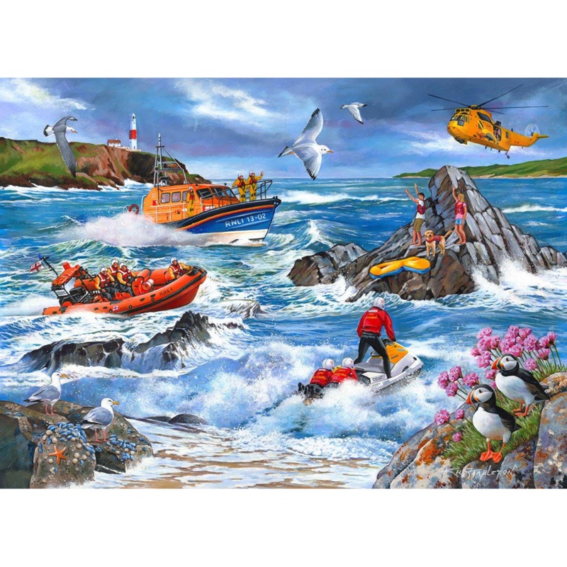 Against The Tide  1000 Piece Jigsaw Puzzle (HOP)