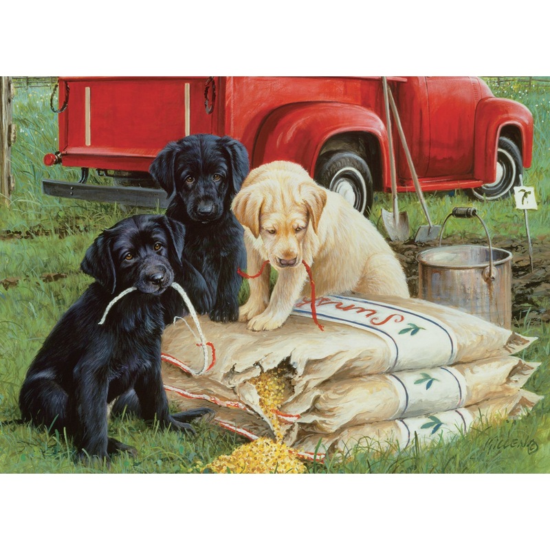 Willow Creek – Just Dogs Jigsaw Puzzle (1000 Pieces)