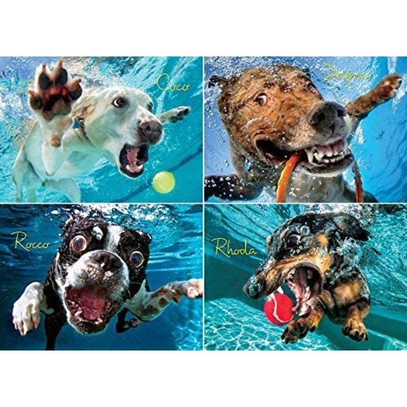 Willow Creek – Underwater Dogs: Pool Pawty Jigsaw Puzzle (1000 Pieces)