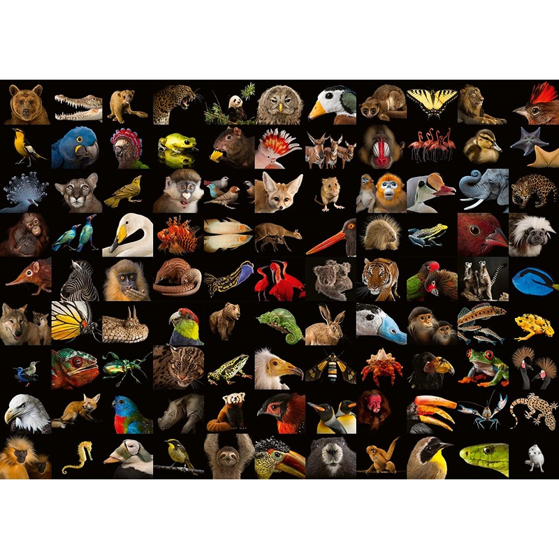 99 Stunning Animals  1000 Piece Jigsaw Puzzle (Ravensburger)
