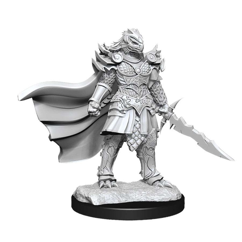 90302 F Dragonborn Fighter PC Dragonborn Fighter F